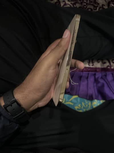 12 pro max pta approved