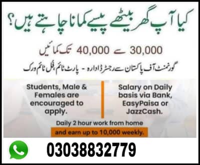 online assignment work