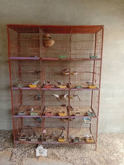 Iron Cage 12 portion 1.5 x 1.5 - 0318-2012121