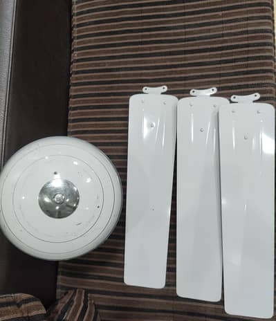 Gfc and Sufi Ceiling Fan for sale