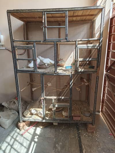 birds cage for sale