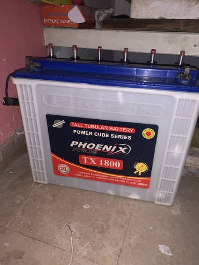 Phoenix tall tubular