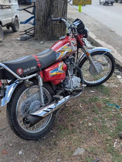 25 model golden number