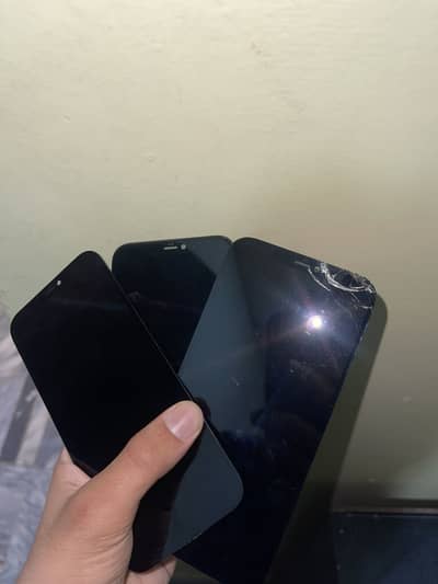 iPhone 12 Pro Max panels