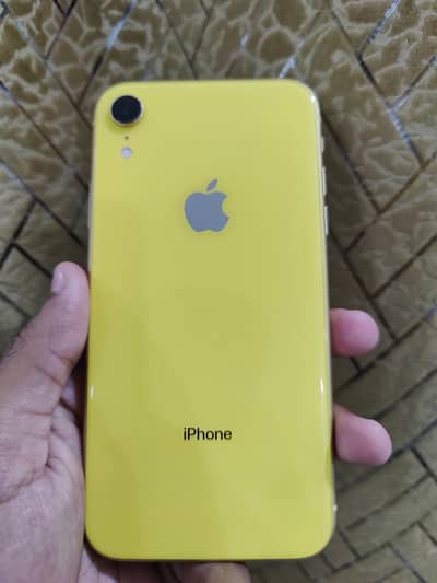 iPhone XR Pta Approved