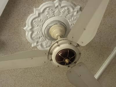 Al Sheikh Fans Best Budget Fan