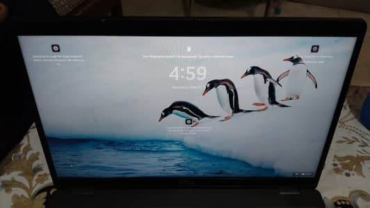 Dell Precision 3540 | Core i7 8th Gen | 8GB RAM | 512GB SSD | 2GB GPU