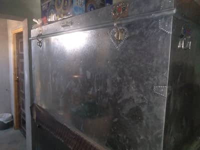 Brand new peti 5 foot