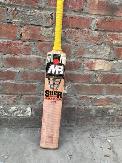 cricket bat