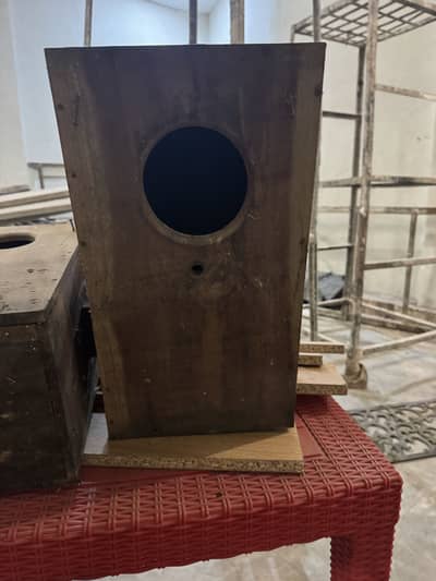 Raw Parrot box