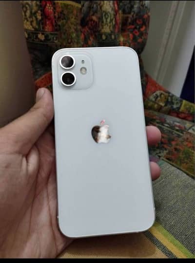 iPhone 12 brand new