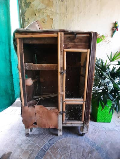 Parrots Big Size Colony/Cage