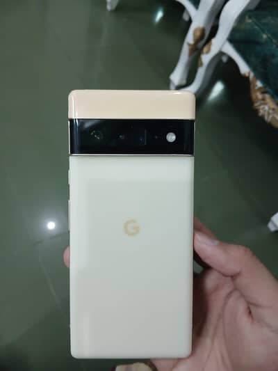 google 6 pro pta approve gold color