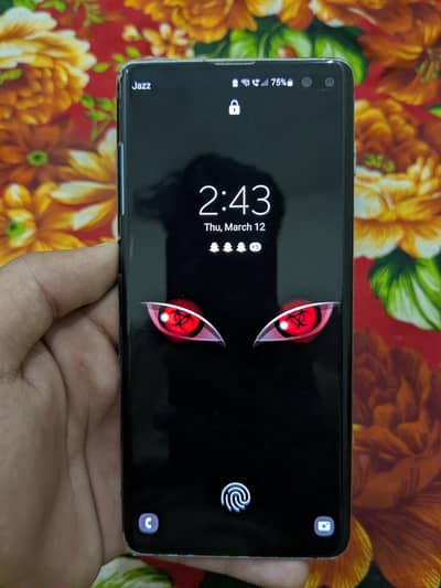 Samsung Galaxy S10 plus panel dot 8/128