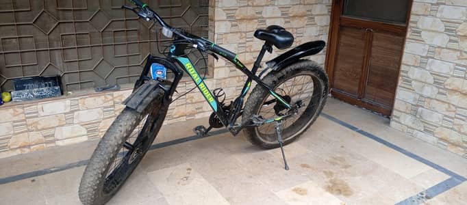 fat bike for sale