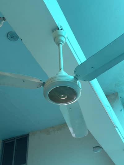 10 pieces celling fan for sale
