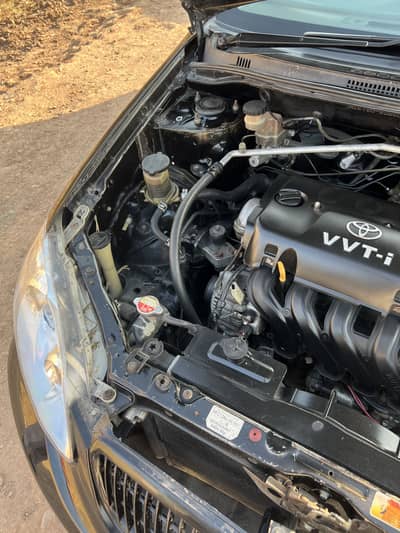 Gift for corrolla lover