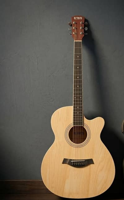 Hi-Volts AM-02 Acoustic Guitar
