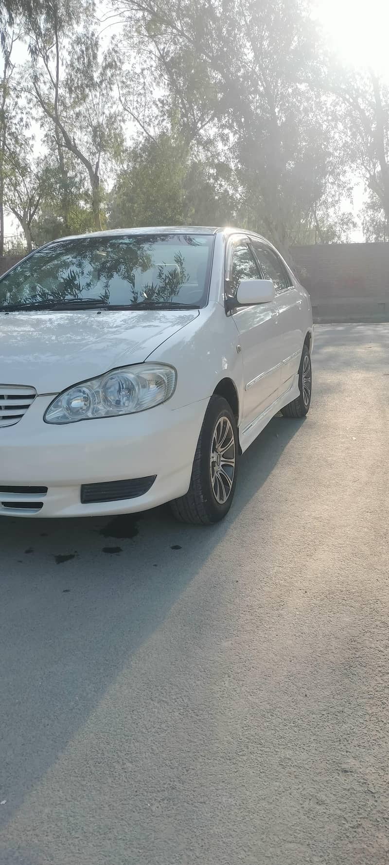 Se Seloon  Automatic 1