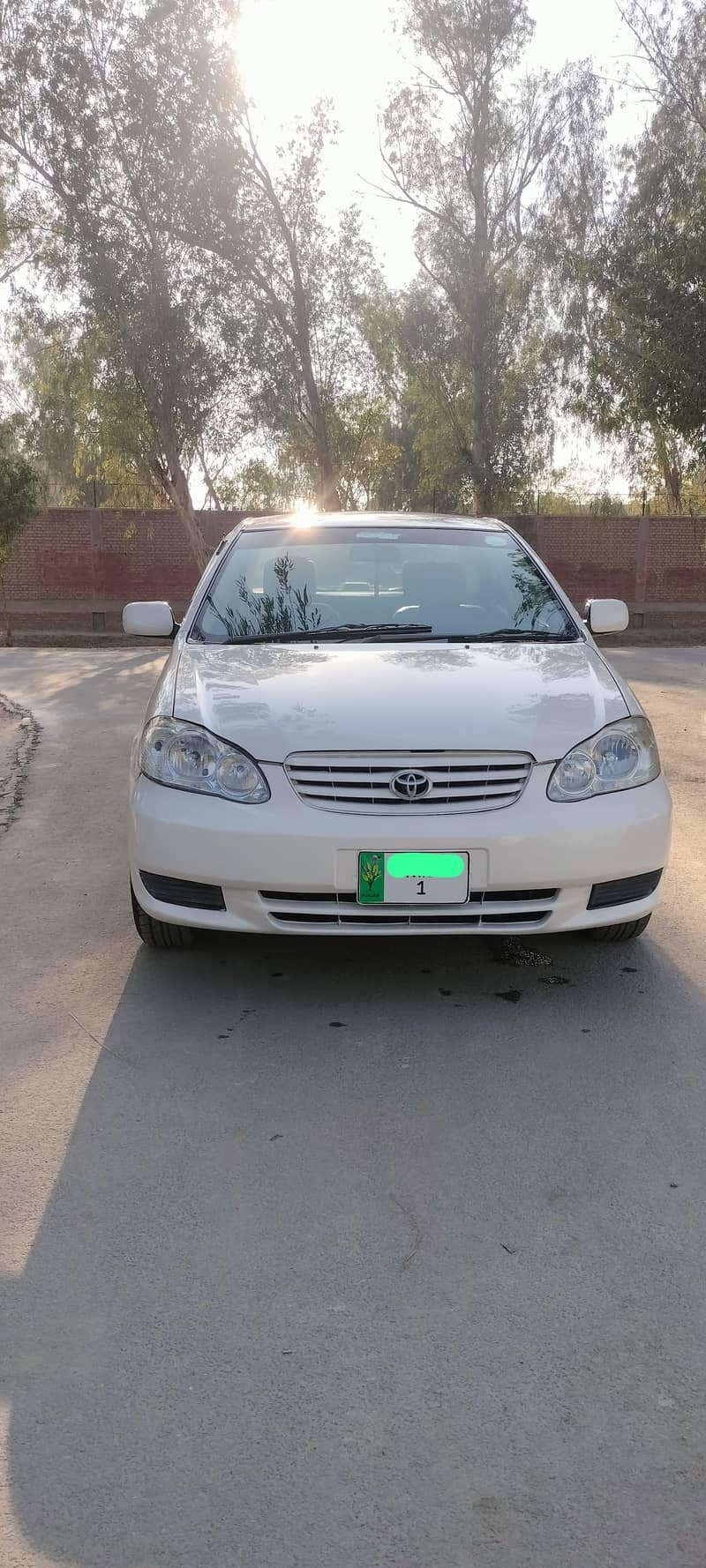 Se Seloon  Automatic 2