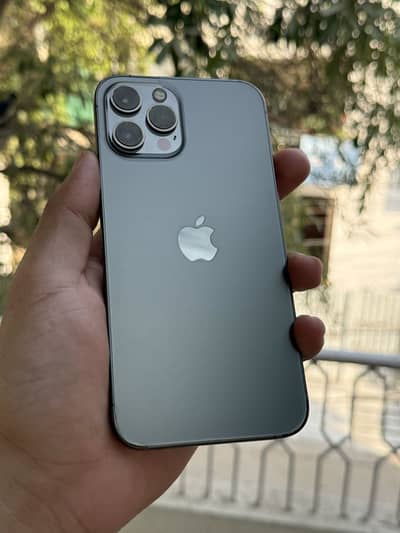 12 pro max dual sim pta approved