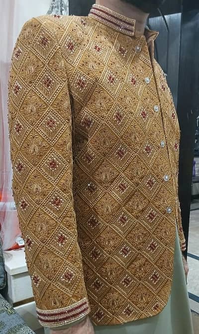 Prince Coat goldan colour  Madiam Size