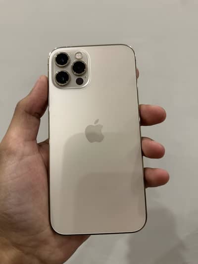 Iphone 12 pro 256gb non pta fu