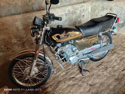Honda 125 gold addition 2025