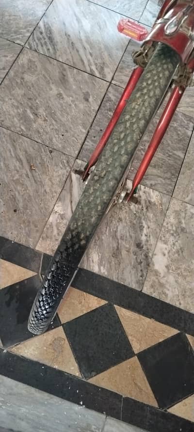 Sohrab cycle 20 inches