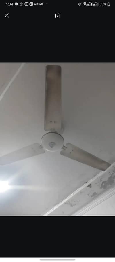 urgent sele royel seeling Fan 10/9 condition