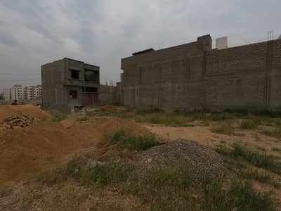 Gold Ext Blk Plot Available In Reasonable Price