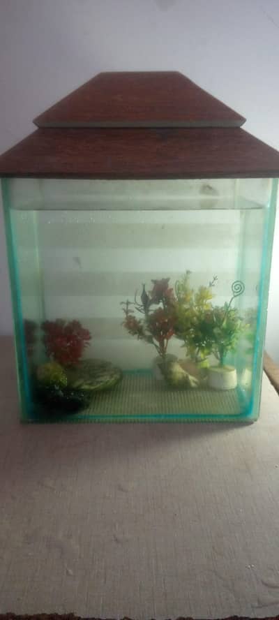 small and big size aquarium with accessories