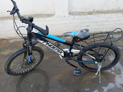 gair wali phoenix cycle