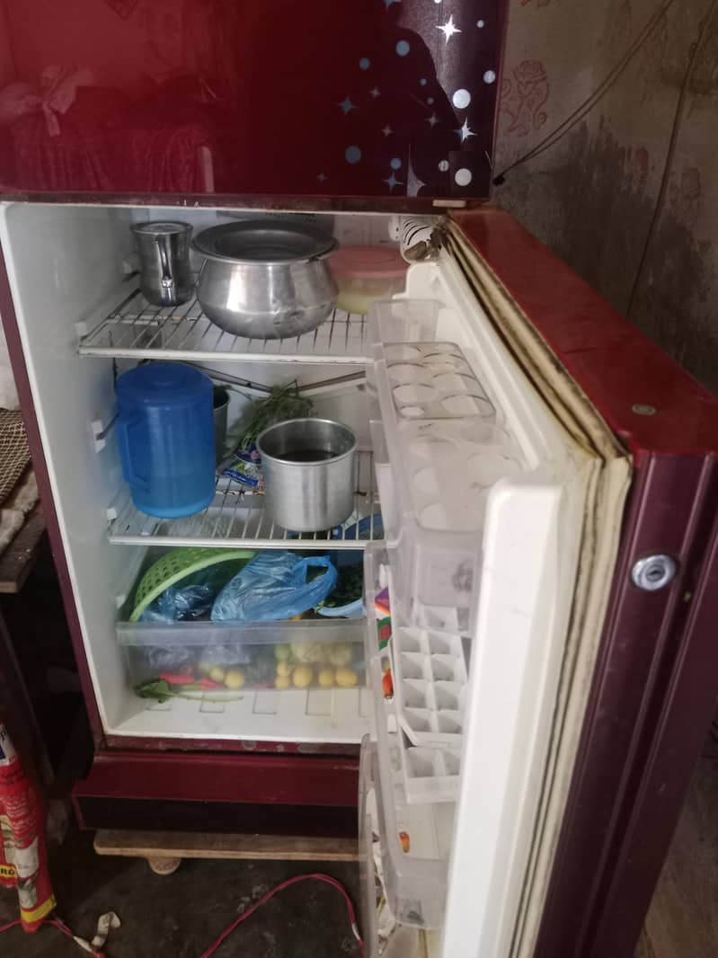 پل کی فرج ہے گلاس ڈور 5