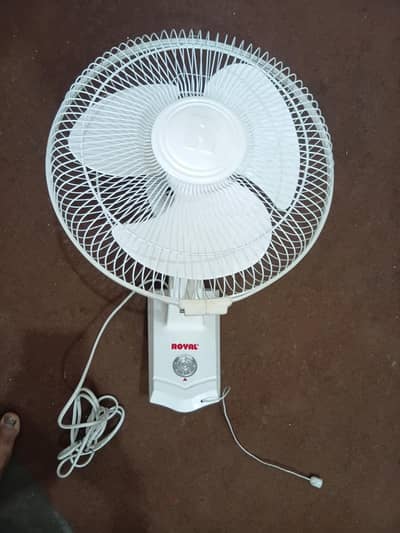 Royal bracket fan