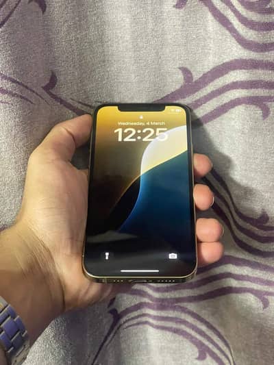 iphone 12 pro golden colour