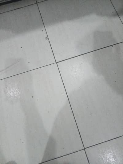 Restaurant Manager + chef