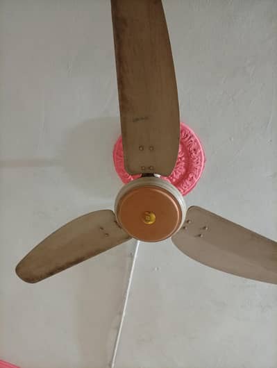 10 by 10 1  copper wire hy