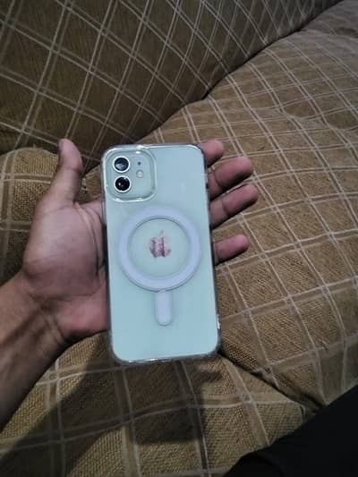 I phone 12 256 GB lush condition PTA APPROVED