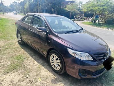 Gli 2013 Model Red wine Color for sale