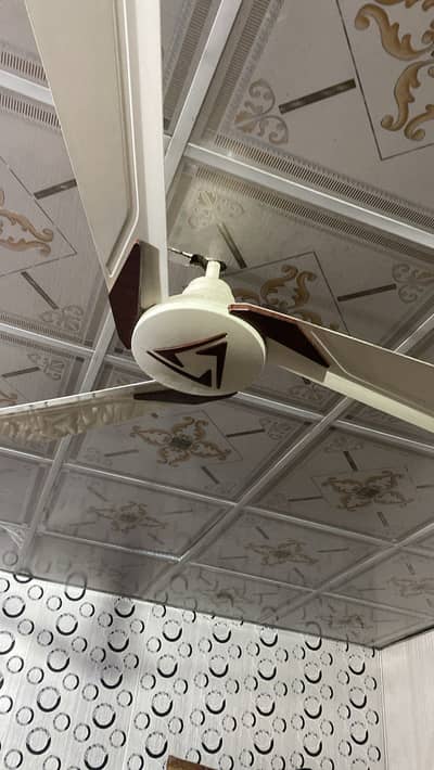 Ceiling fan pakha