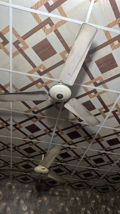 Ceiling fan pakha