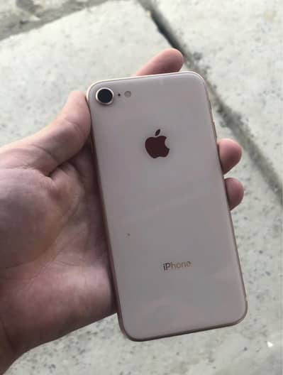 iphone 8 pta approved