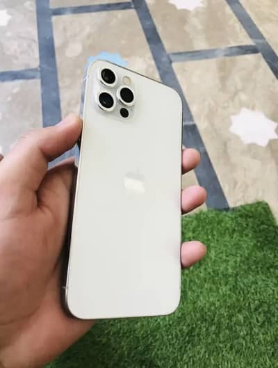 Iphone 12 pro pta approved