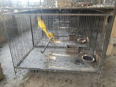 cage for sale