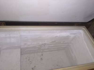 coca cola companiy ka dfarezar hy