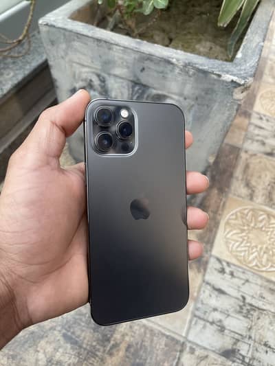 iphone 12 pro max pta proved