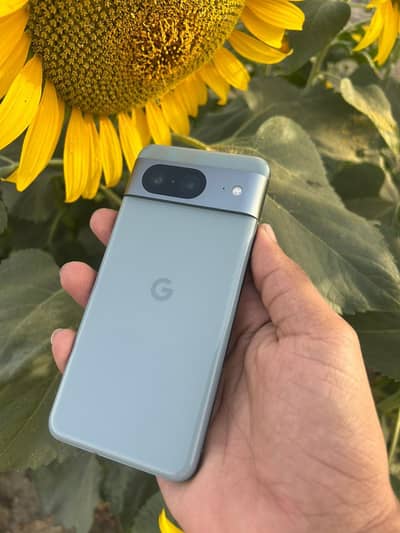 Google pixel 8