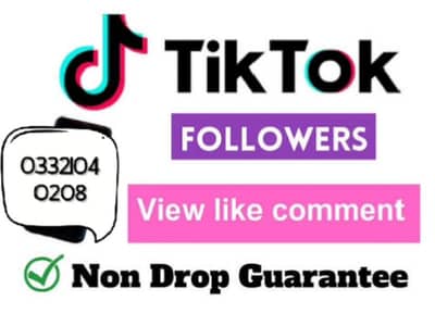 Social Media Growth Followers Likes Views Instagram TikTok Facebook