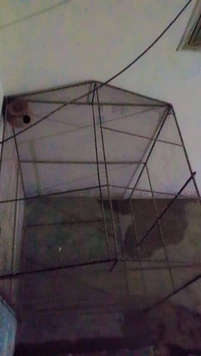 pet cage for sale